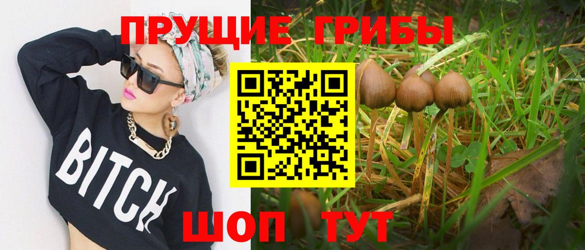 Псилоцибиновые грибы прущие грибы  Галлюциногенные грибы GOLDEN TEACHER  Чита  Вход с VPN 
